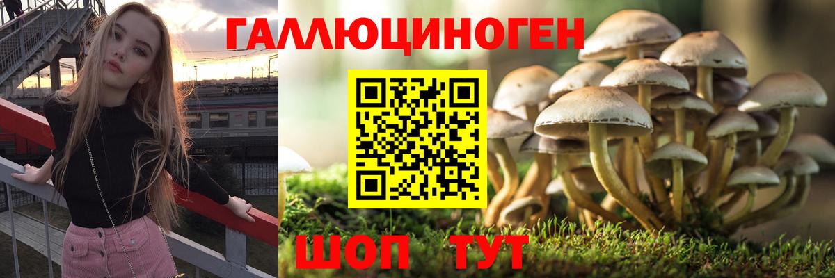 Псилоцибиновые грибы прущие грибы  Вход с VPN  Домодедово  Псилоцибиновые грибы мицелий 